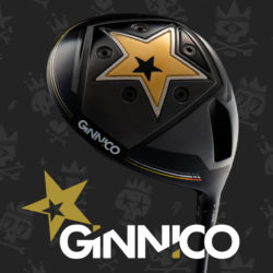 1200x630px_ginnico-250x250.jpg