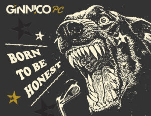 GINNICO ポケキャビアイアン